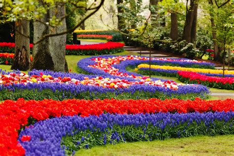 In the event of any supply difficulties or lack of stock of certain varieties of flowers, we reserve the right to substitute any product with an alternate flourish supply ongoing flower subscriptions, delivered weekly, fortnightly or monthly anywhere in the uk. Keukenhof, the largest flower show in the world near ...