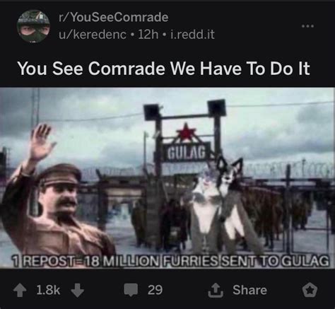 You See Comrade We Must Keep Reposting Ryouseecomrade