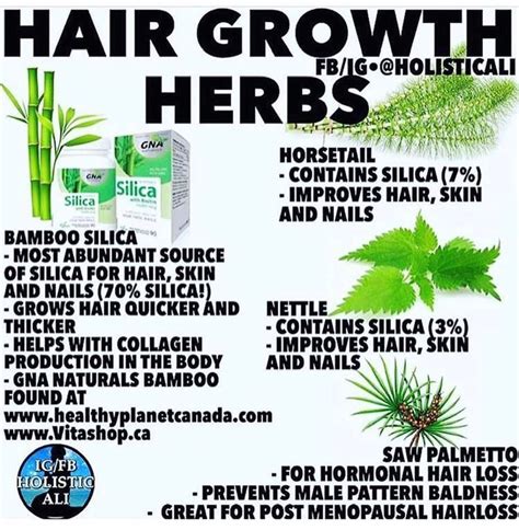 Read The Facts👇👇👇 All These Hair Growing Herbs For Women And Men Are In