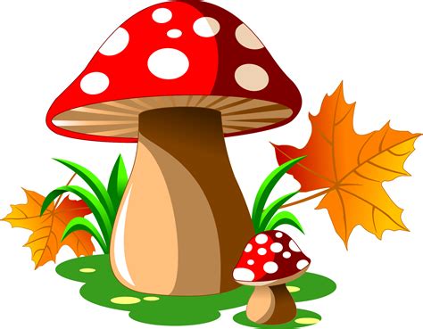 Cartoon Mushroom Png Free Logo Image