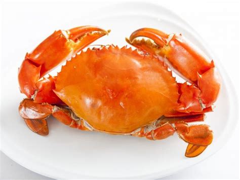 7 Incredible Crab Benefits Organic Facts