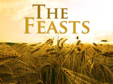Feast Days The Harvest Is Almost Ready Are You