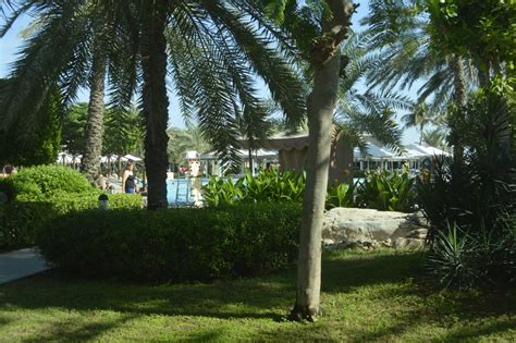 Strand Fujairah Rotana Resort Spa Al Aqah Holidaycheck