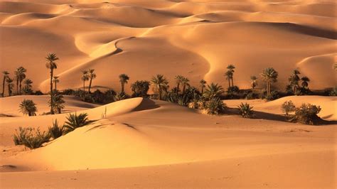 صور صحراء للتصميمصور صحراء للمصممين استعلام المنصة