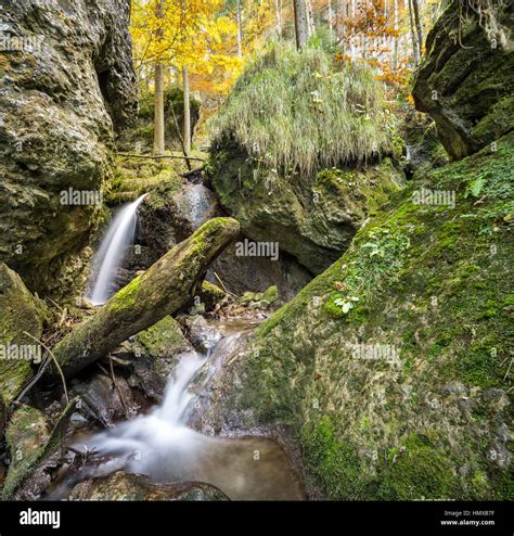 Little Waterfall Flows Through A Fairy Tale Forest Stock Photo Alamy