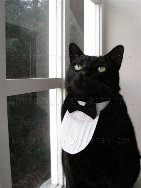Cat Tuxedo Classic Black Tie By Snoopcattycatt On Etsy