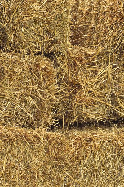 Hay Bales Free Photo Download Freeimages