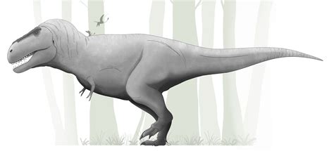 Dino Art Tyrannosaurus Rex Dinosaurs