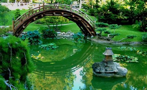 Look At Nature Japanese Garden Bridge