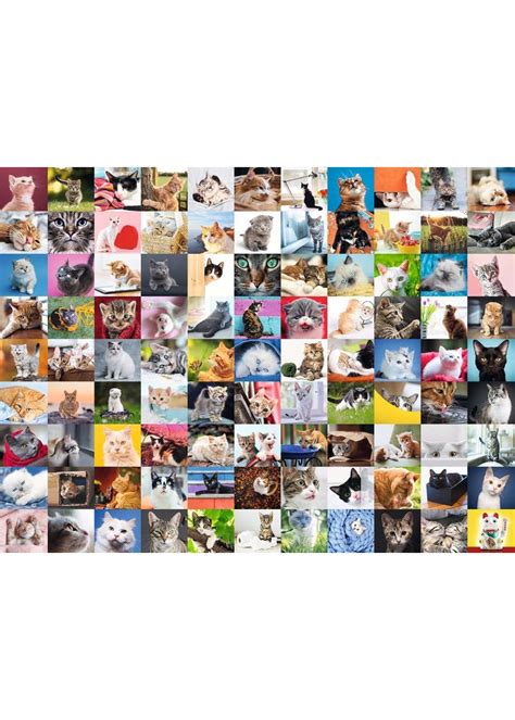 Choose Your New Ravensburger 99 Cats 1500 Piece Puzzle And Get 20 Off