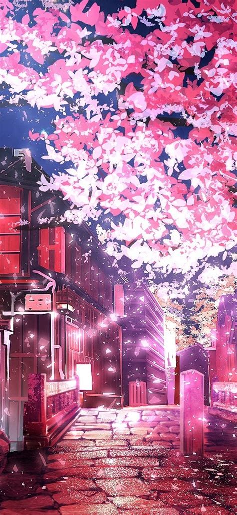 Blossom Tree Anime Wallpapers Wallpaper Cave