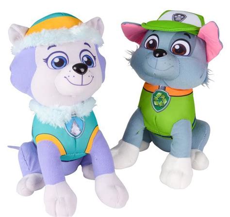 10 Paw Patrol Rocky And Everest