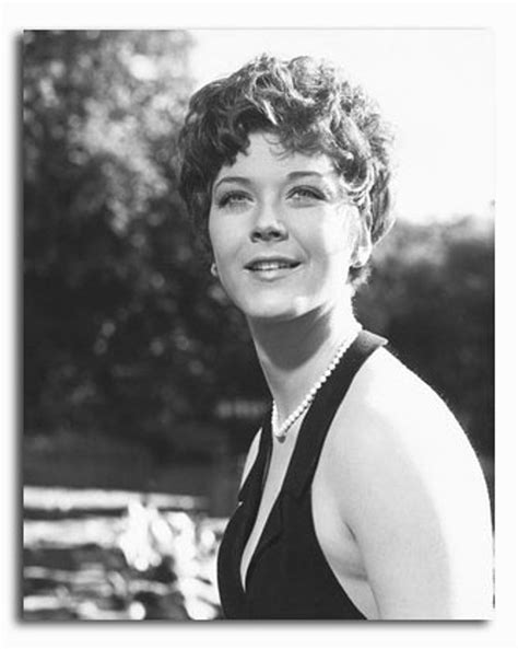 Ss2269176 Movie Picture Of Linda Thorson Buy Celebrity Photos And