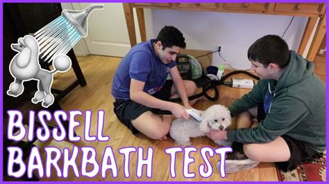 Testing the Bissell BarkBath | A Dog-Bathing Revolution or a Wet