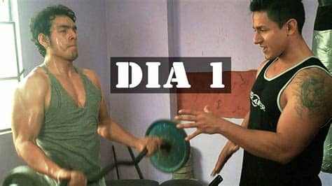 Body solid leg developer attachment g… Rutina De Pesas En Casa | DIA 1 ESPALDA - BICEPS | Tr4iner ...