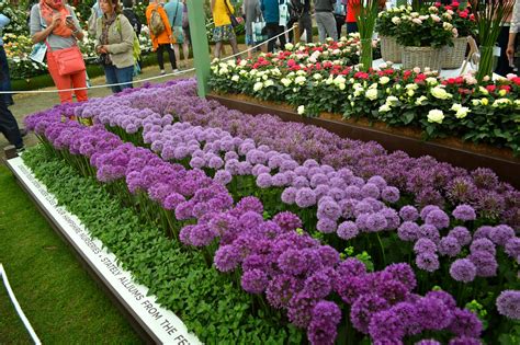 There are no sunday or public holiday deliveries. Alexandra D. Foster Destinations Perfected: London ...