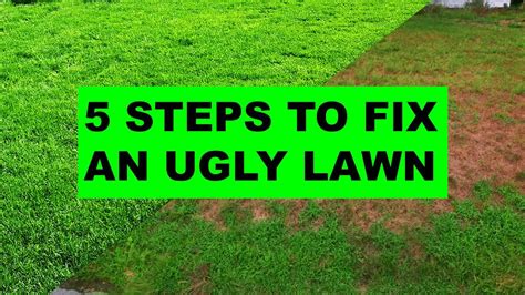 How To Fix A Uneven Lawn