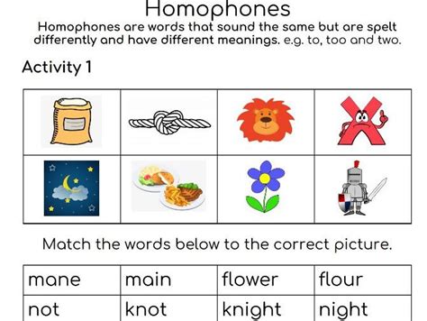 Homophones Activity Sheet