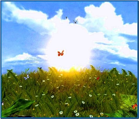 Animated Butterfly Screensavers Download Screensaversbiz