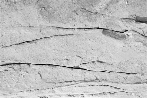 Warm Fossil Rock Texture Stock Photos Royalty Free Warm Fossil Rock