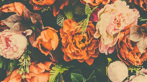Orange Flowers With Green Leaves Hd Orange Aesthetic Wallpapers Hd