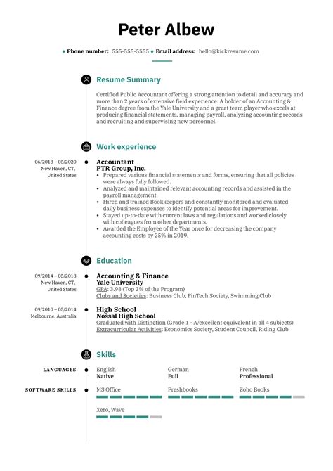 Resume Summary Example Kickresume