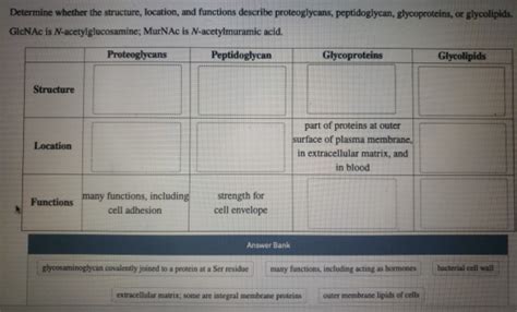 Determine Whether The Structure Location And Functions Describe