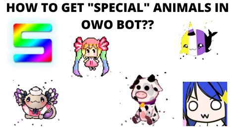 How To Get Special Animals In Owo Bot Youtube