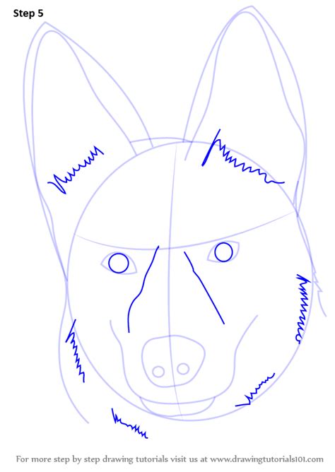 How to draw a german shepherd face. Learn How to Draw German Shepherd Dog Face (Farm Animals ...