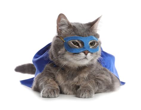 Adorable Cat In Blue Superhero Cape And Mask On White Background Stock