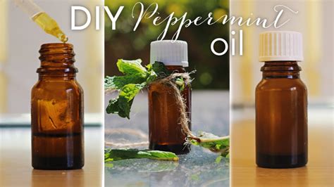 How To Make Diy Peppermint Oil At Home Youtube