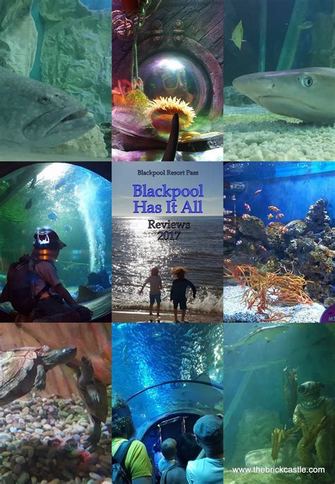 The Brick Castle Sea Life Blackpool Has It All 2017 Review