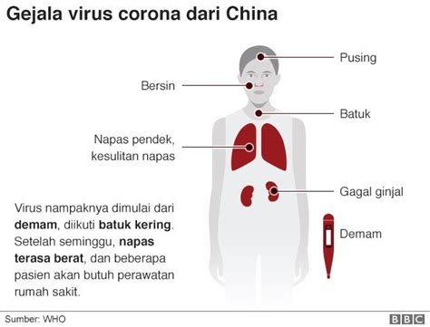 Virus Corona Tips Terlindung Dari Covid 19 Dan Mencegah Penyebaran