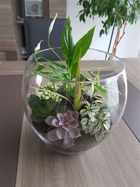 A Glass Bowl Filled With Plants On Top Of A Table