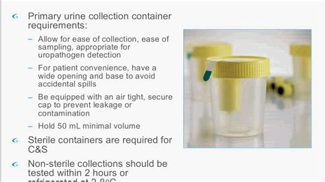 Revisiting A Common Lab Test A Review Of Urinalysis And Urine Culture
