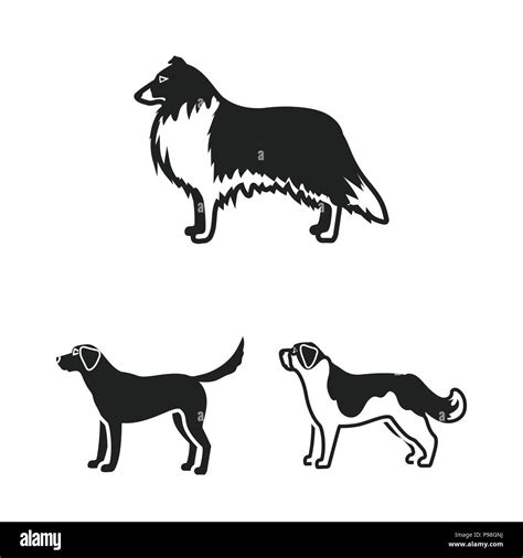Dog Breeds Black Icons In Set Collection For Designdog Pet Vector