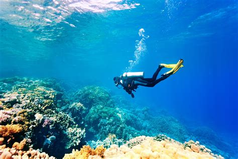 Best Places For Scuba Diving In Andaman The Land Of Beauty
