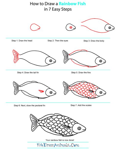 How To Draw A Rainbow Fish
