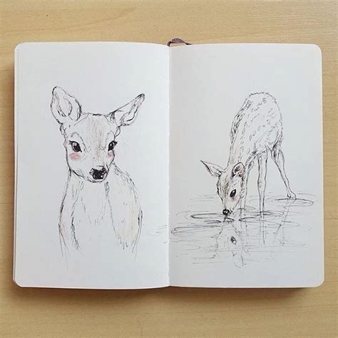 Pin By Maxie Jingles On Pencil Drawings Sketch Book Deer Drawing