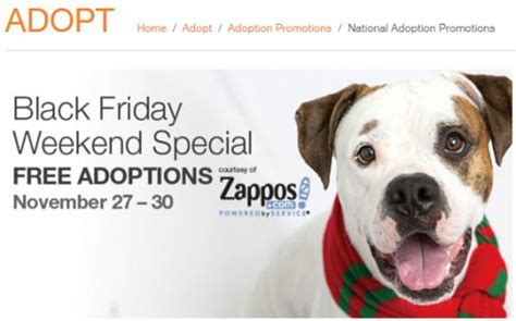 And the good news is there are plenty of pet adoption websites where you can find your new best friend, without having to physically go in to pick him or best friends first launched in kanab, utah, in the 1980s. Best Friends Adopt a Pet and Zappos will Pay the Adoption ...