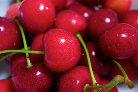 Filecherry Fruit 01 Wikimedia Commons