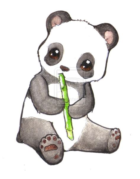 Cute Giant Panda Drawings Clip Art Library