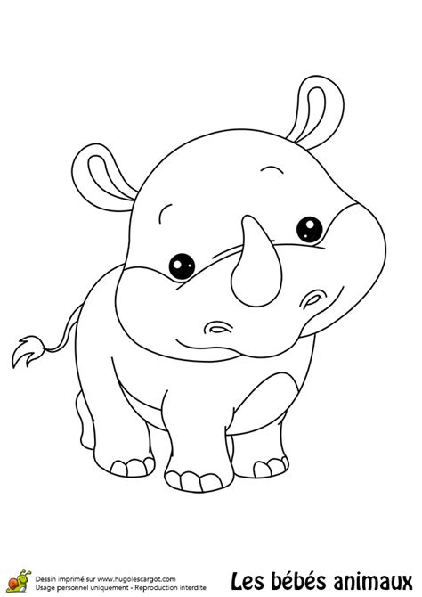Coloriage Dun Adorable Bébé Rhinocéros