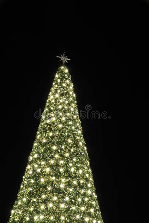 Huge Christmas Tree Lights Night Background Stock Image Image Of