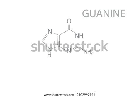 Guanine Molecular Skeletal Chemical Formula Stock Vector Royalty Free 2102992141 Shutterstock
