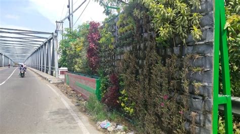Bunga matahari memang identik dengan pesona keindahannya. TANAMAN BUNGA 15 MEI 2020 - Badan Sertifikasi ISO ...