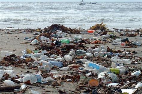 Durban Beaches Who Do You Think Is Going To Clean Up
