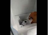 Kenmore Coldspot Ice Maker Not Making Ice