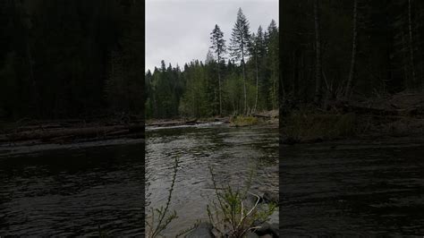 Video Of Ford Pinchot National Forest Wa From Shawna B Youtube