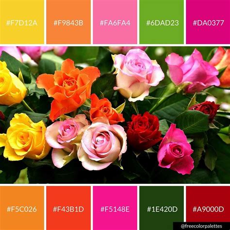 Roses 🌹 Which Color Rose Would You Take Freecolorpalettes For More